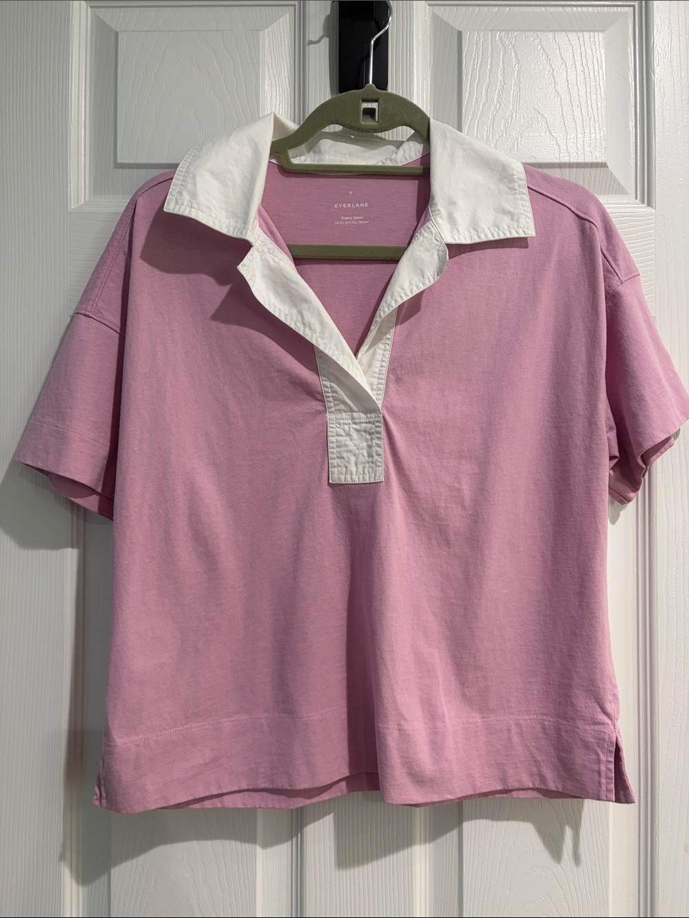 Everlane Pink Shirt with White Contrast Collar